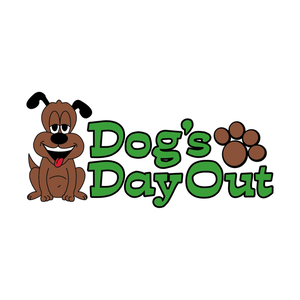 Team Page: Dog's Day Out